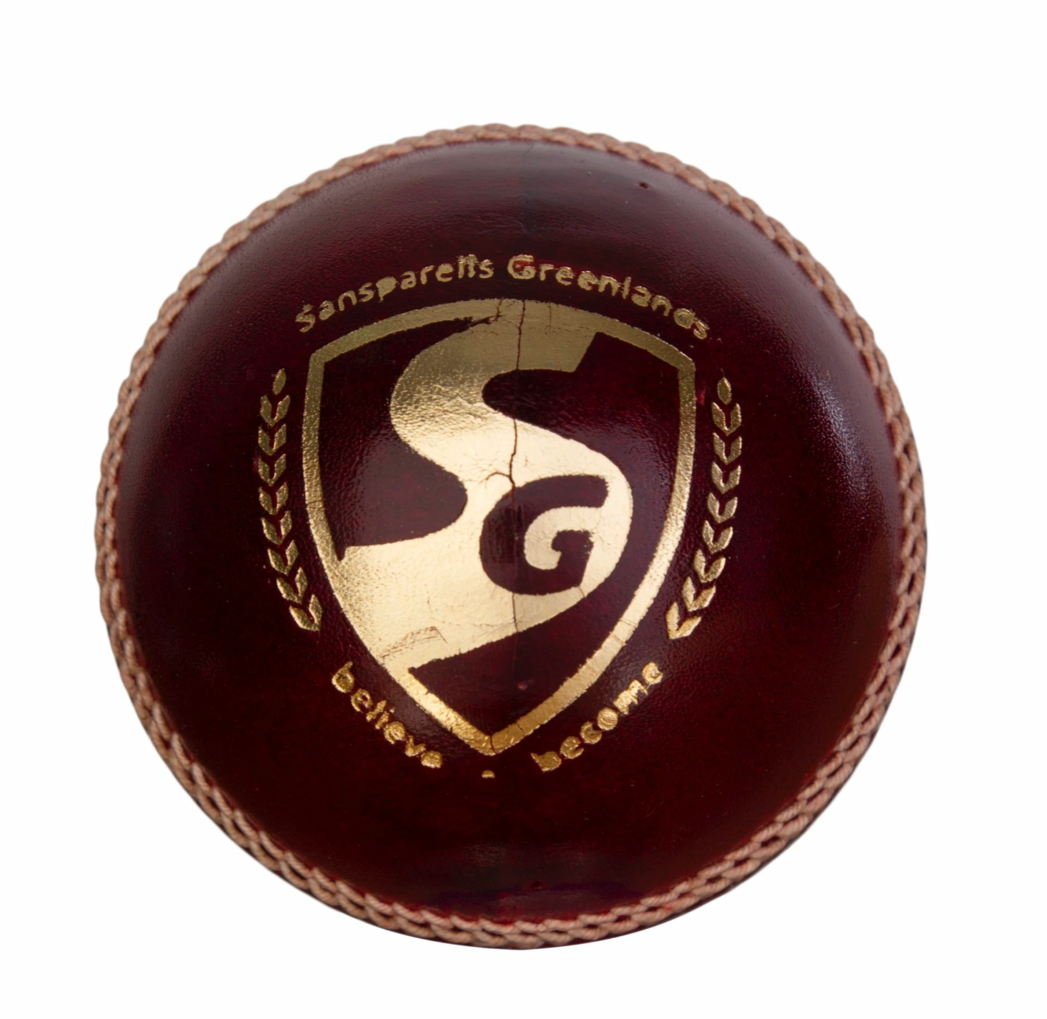 Cricket Balls Only Sports Global